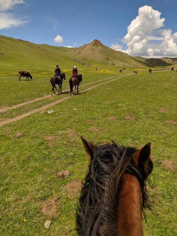 Horseback Holiday At Kyzart Village Dzhangyaryk Eksteriør bilde
